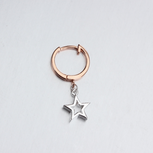 Renfook 925 sterling silver hoop with star charm jewelry earrings for women